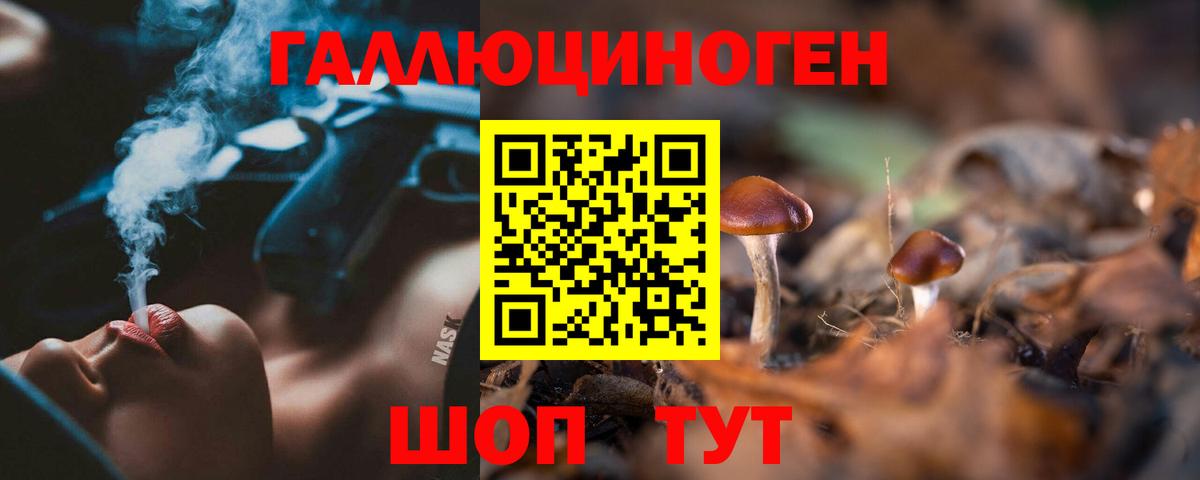 Галлюциногенные грибы прущие грибы Новоуральск